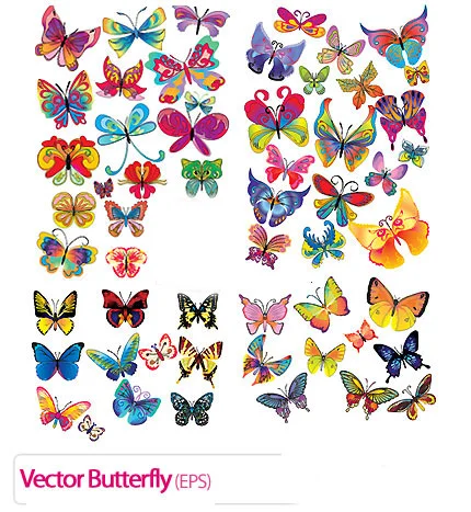 Vector Butterfly