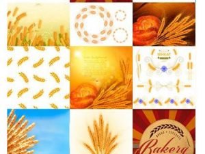 Amazing ShutterStock Bread 26 Wheat