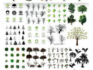 Amazing ShutterStock Set Of Trees