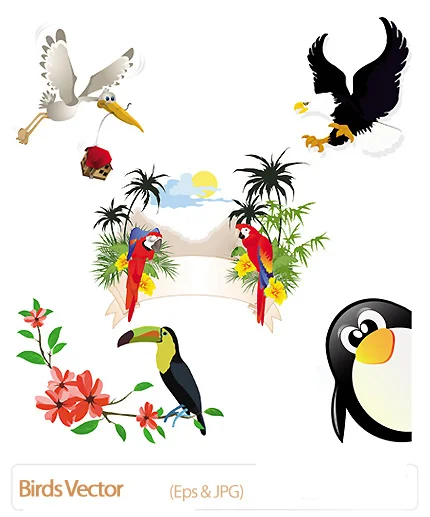 Birds Vector