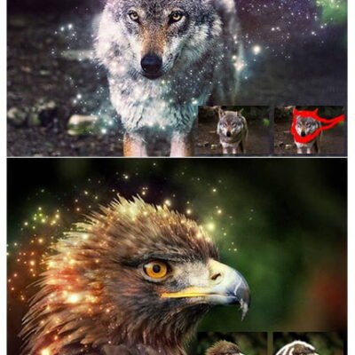 magicdust.photoshop.action