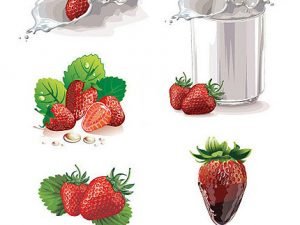 Vector Strawberry