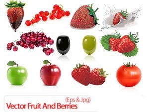 Vector Fruit And Berries