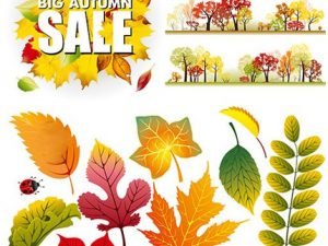 Shutterstock Autumn Sales