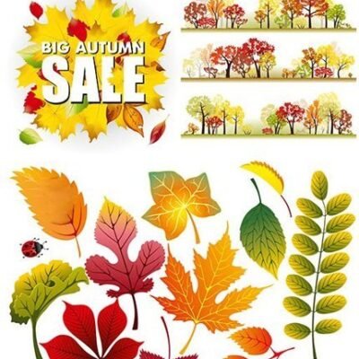 Shutterstock Autumn Sales
