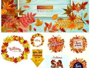 Shutterstock Autumn Sales