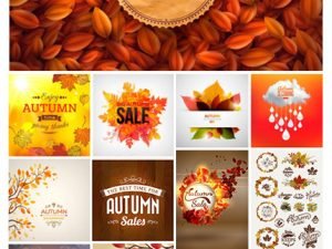 Amazing ShutterStock Autumn Season