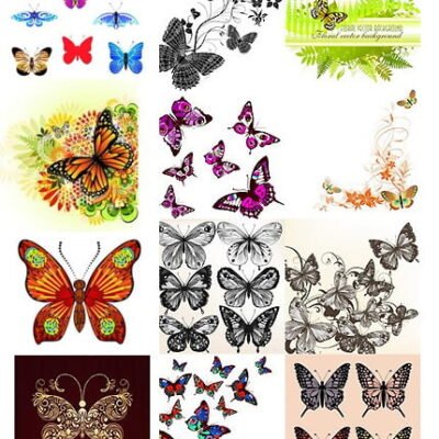 Amazing ShutterStock Butterfly