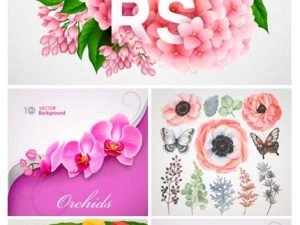 Amazing ShutterStock Flowers