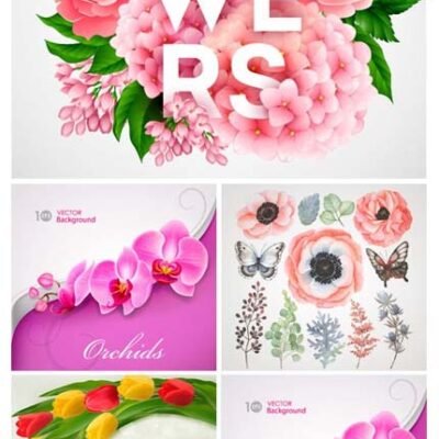 Amazing ShutterStock Flowers