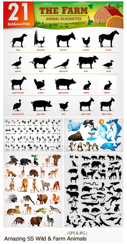 Amazing ShutterStock Wild And Farm Animals