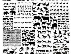 Animal Silhouettes In Vector From Stock