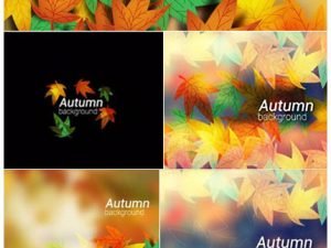 Autumn leaves On Colorful Background Vector