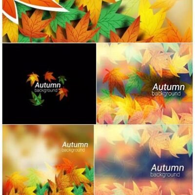Autumn leaves On Colorful Background Vector