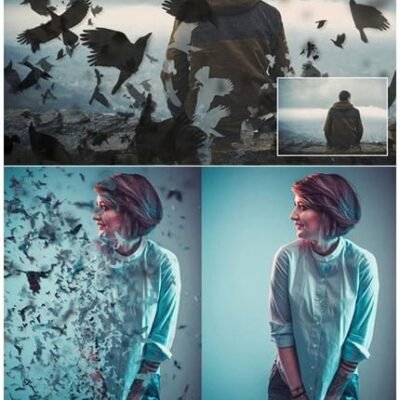 Birds And Crows Dispersion Action