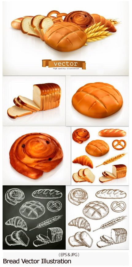 bread.vector.illustration Bread Vector Illustration