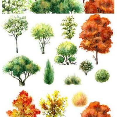 CM Watercolor Trees And Bushes