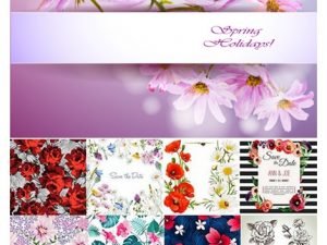 Collection Flowers Pattern Background