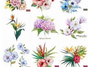 Cute Watercolor Drawing Flowers