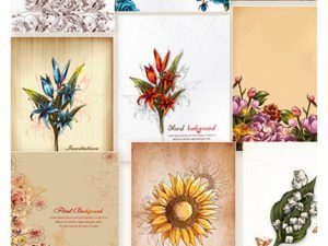 Floral Vector Stock Illustrations Bundle