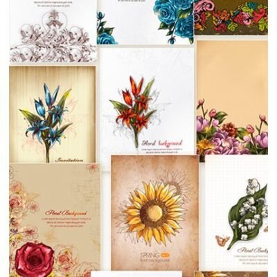 Floral Vector Stock Illustrations Bundle