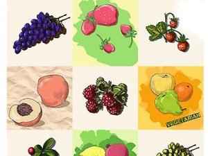 Fruits Vegetables Illustrations