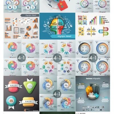 Infographics Business Concept Flat Design Vector