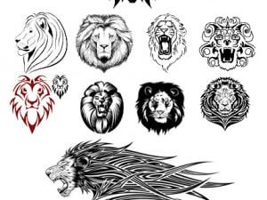 Lion Head Collection