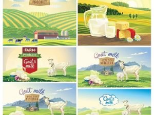 Milk Farm