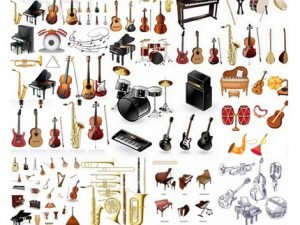 Musical Instrument Collection