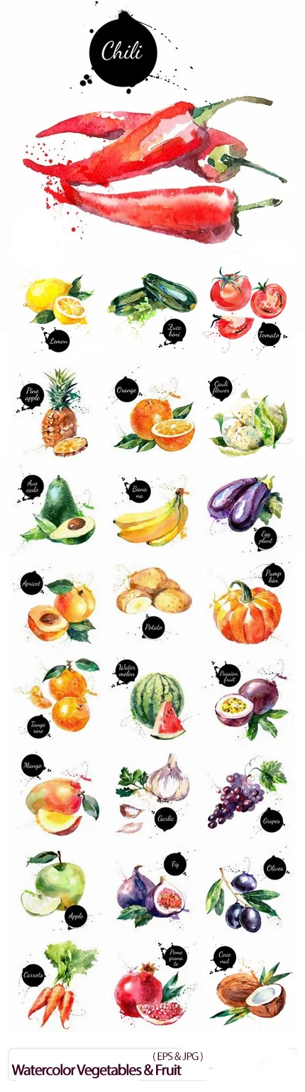 Watercolor Vegetables And Fruit Vector Art