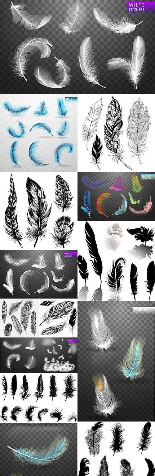BIG COLLECTION DECORATIVE FEATHER ELEGANCE DESIGN.1
