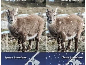 Animated Snow Photoshop jsx psd