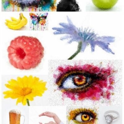 polygonal geometric styling illustration