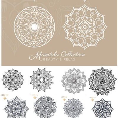 Set Of Mandala Decorative And Ornamental Design In Vector