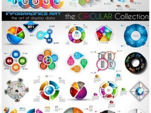 Vector Circular Infographics