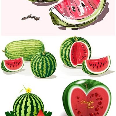 Water-Melon Natural Fresh Juicy And Ripe Illustration