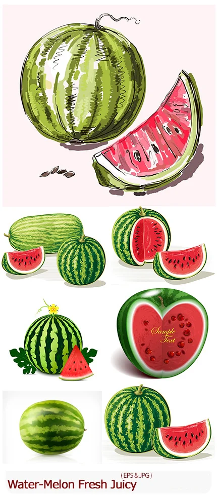 Water-Melon Natural Fresh Juicy And Ripe Illustration