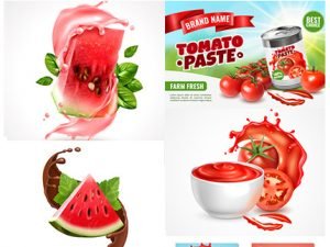 Watermelon With Juicy And Tomato sauce With Fresh Juice Vector