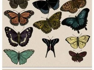 27 Butterflies Clipart PSD Template