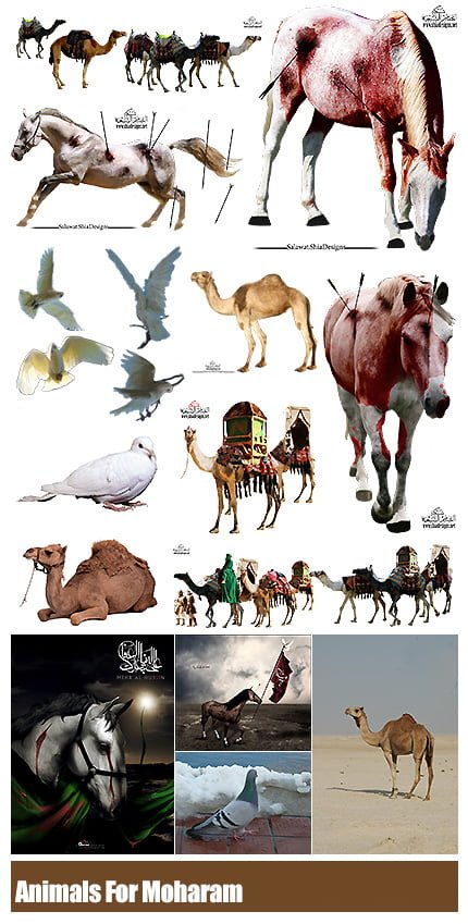 animals.element.design.for.moharam Animals Element Design For Moharam