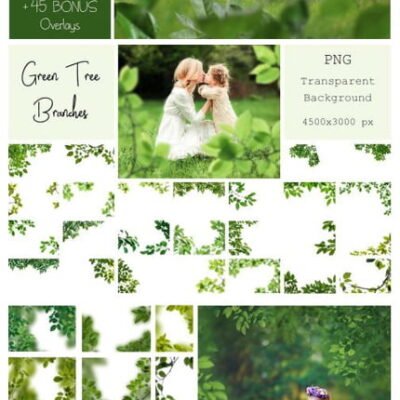 CM 120 Green Tree Branches Overlays