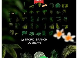 CM 51 Tropic Tree Branch Photo Overlays