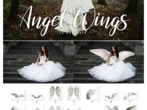 CM Angel Wings 15 Overlays