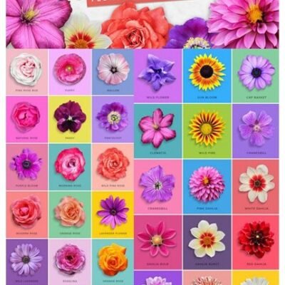 CM Blossom Floral Designer Kit