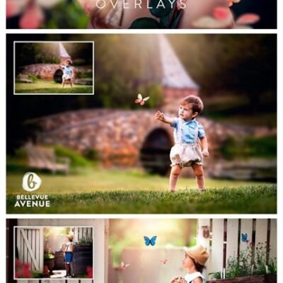 CM Butterfly Overlays