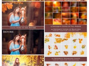 CM Colorful Fall Photo Overlays