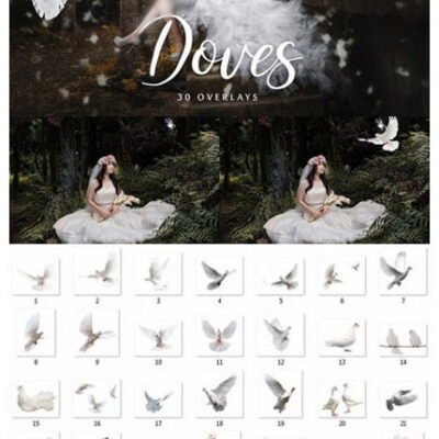 CM Doves Overlays 20 Overlays