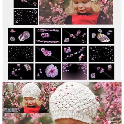 CM Fine Art Blossom Overlays