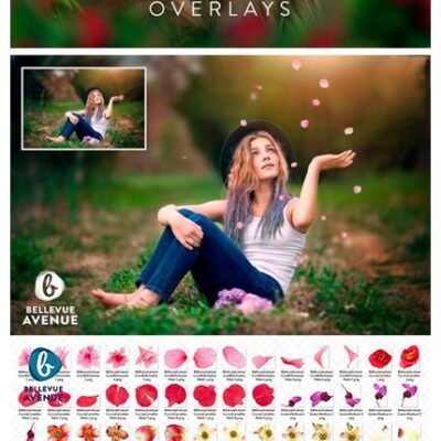 CM Flower Petal Overlays Real